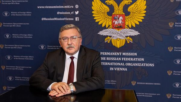 Постоянный представитель Российской Федерации при международных организациях в Вене Михаил Ульянов
