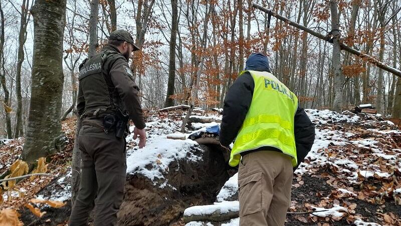 Полиция на месте, где два жителя Поморского воеводства повредили территорию городища, относящегося к периоду раннего Средневековья - РИА Новости, 1920, 23.11.2022