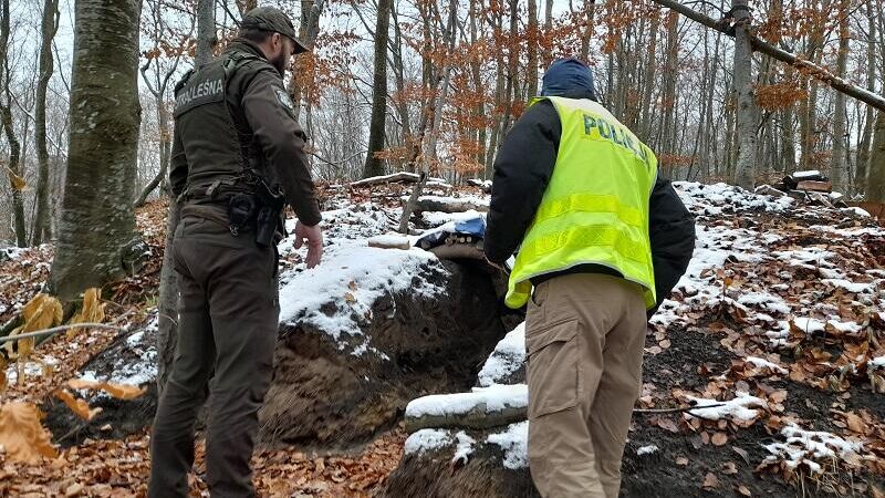 Полиция на месте, где два жителя Поморского воеводства повредили территорию городища, относящегося к периоду раннего Средневековья - РИА Новости, 1920, 23.11.2022