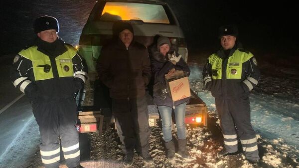Экипаж ДПС на автодороге Челябинск —  Новосибирск в районе 875-го километра спас семью, оказавшуюся в заглохшем автомобиле