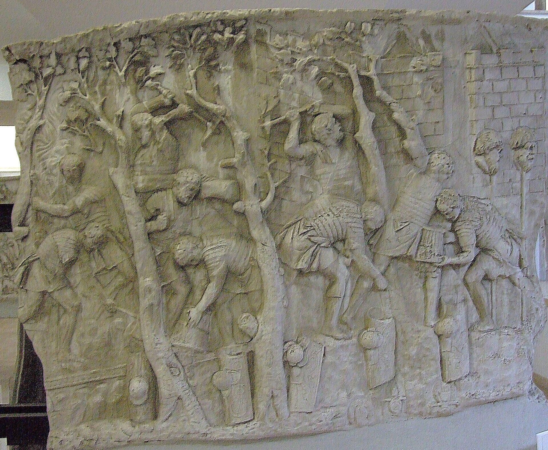 Trajan's Column in Rome - RIA Novosti, 1920, 25.11.2022