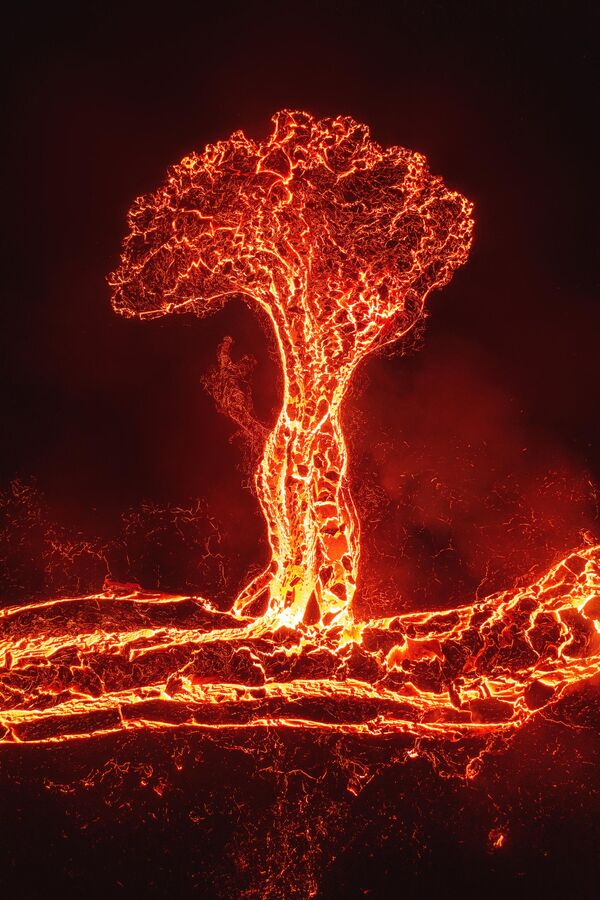Работа фотографа Luis Solano Tree Of Lava, попавшая в ТОП-101 конкурса The 9th International Landscape Photographer of the Year