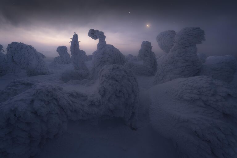 Работа фотографа Koki Dote Frozen, победивший в номинации Snow And Ice Award конкурса The International Landscape Photographer of the Year