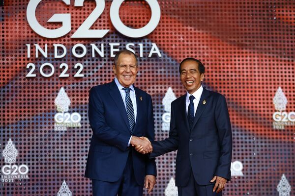 Министр иностранных дел России Сергей Лавров (слева) и президент Индонезии Джоко Видодо во время саммита G20 на Бали