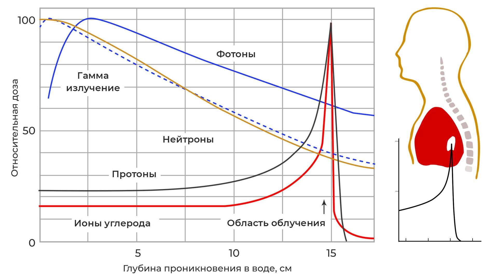 Пик Брэгга - РИА Новости, 1920, 29.11.2022