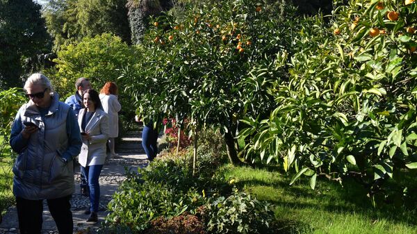 Участники II Конгресса молодых ученых и журналисты посещают ботанический сад Дерево Дружбы 