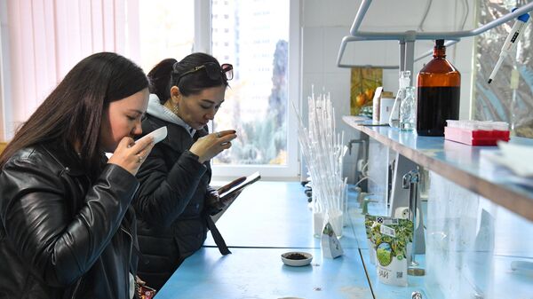 Участники II Конгресса молодых ученых нюхают образы чая в лаборатории физиологии и биохимии растений федерального исследовательского центра Субтропический научный центр Российской академии наук