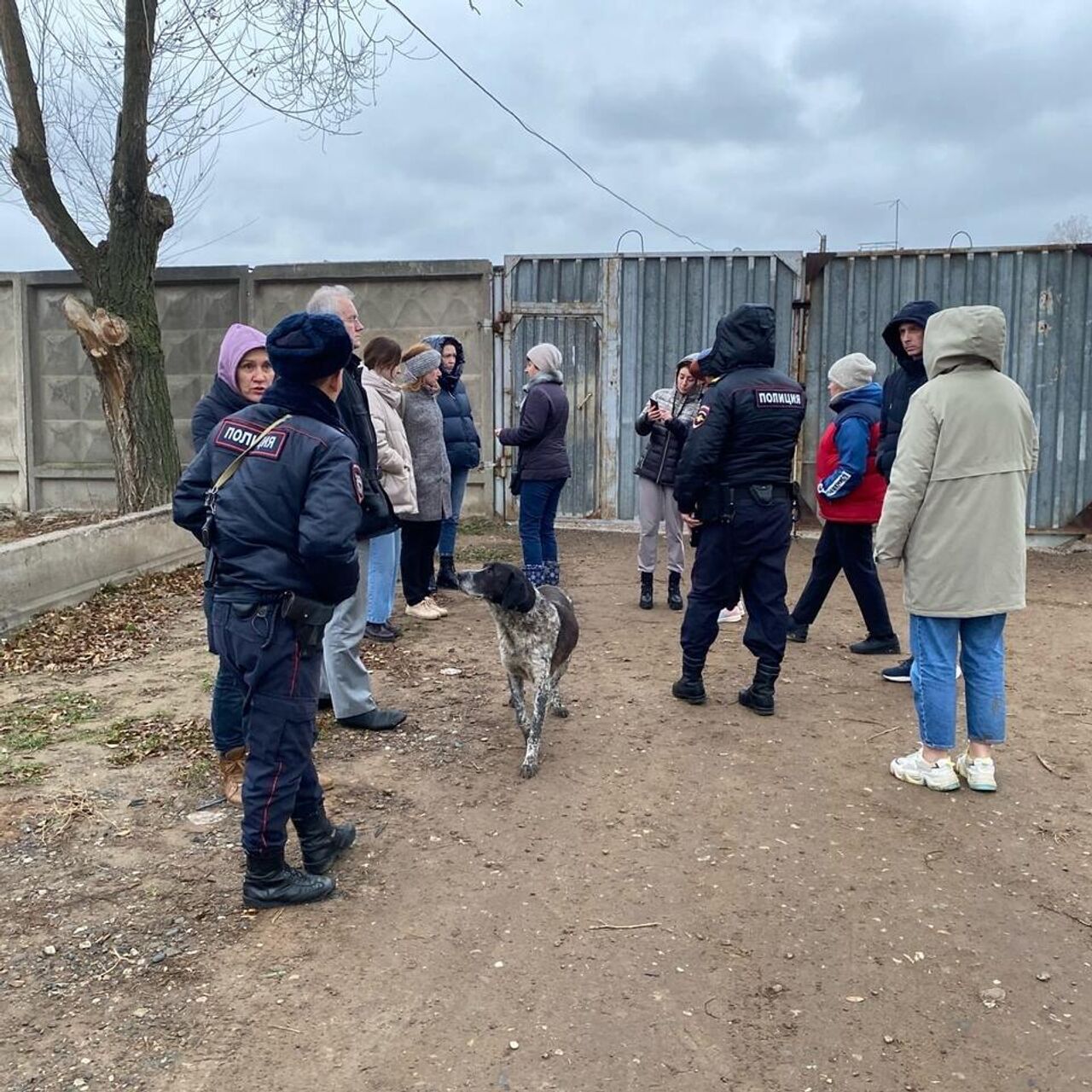 В Астрахани волонтерам закрывают доступ в приют, где погибли животные - РИА  Новости, 13.01.2023