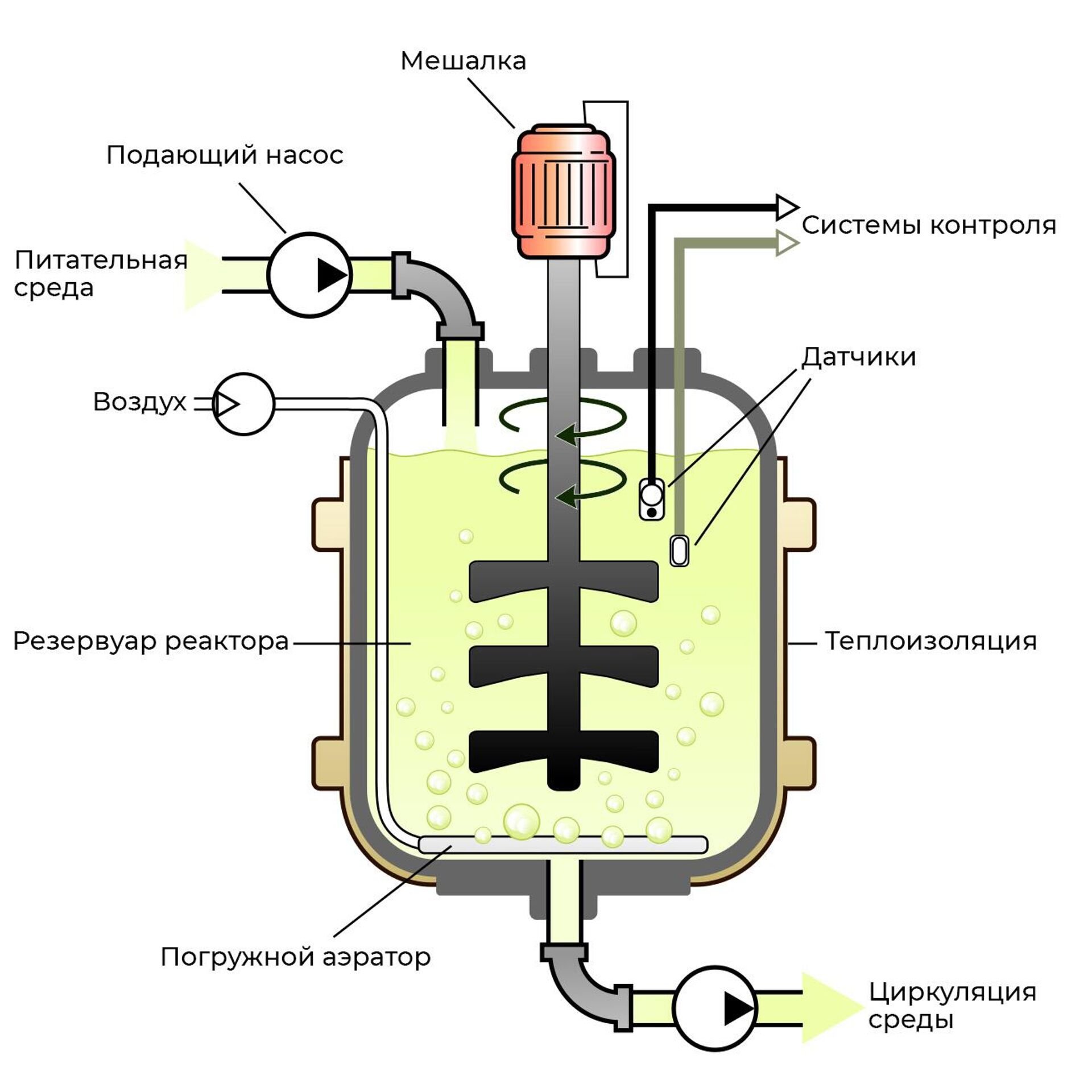 Schematic diagram of a bioreactor for the production of cultured meat - RIA Novosti, 1920, 01.12.2022