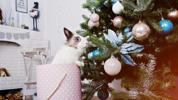 Кролик под новогодней елкой