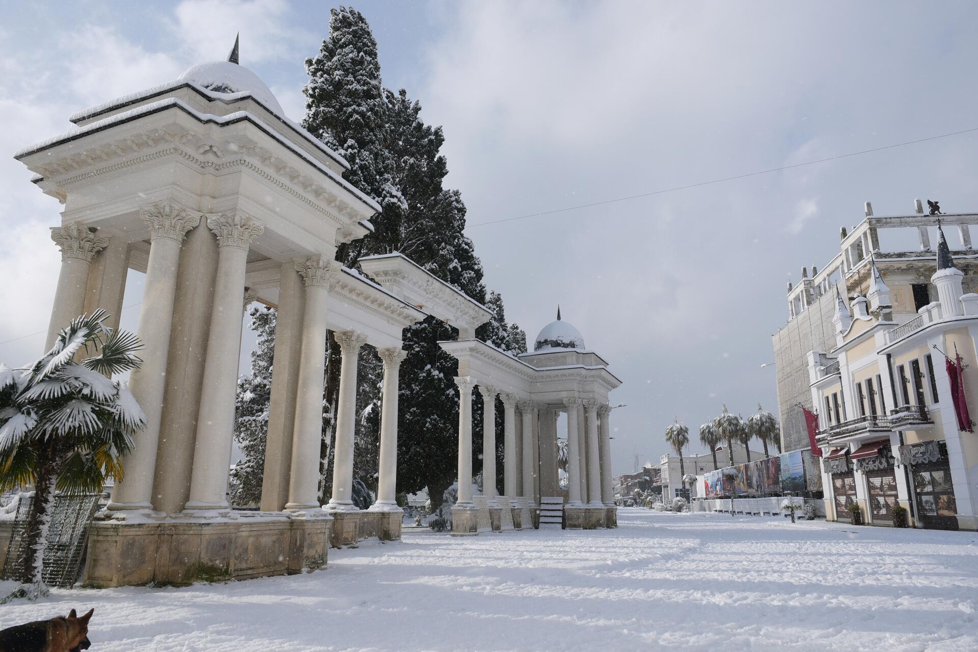Зима Гагра колоннада