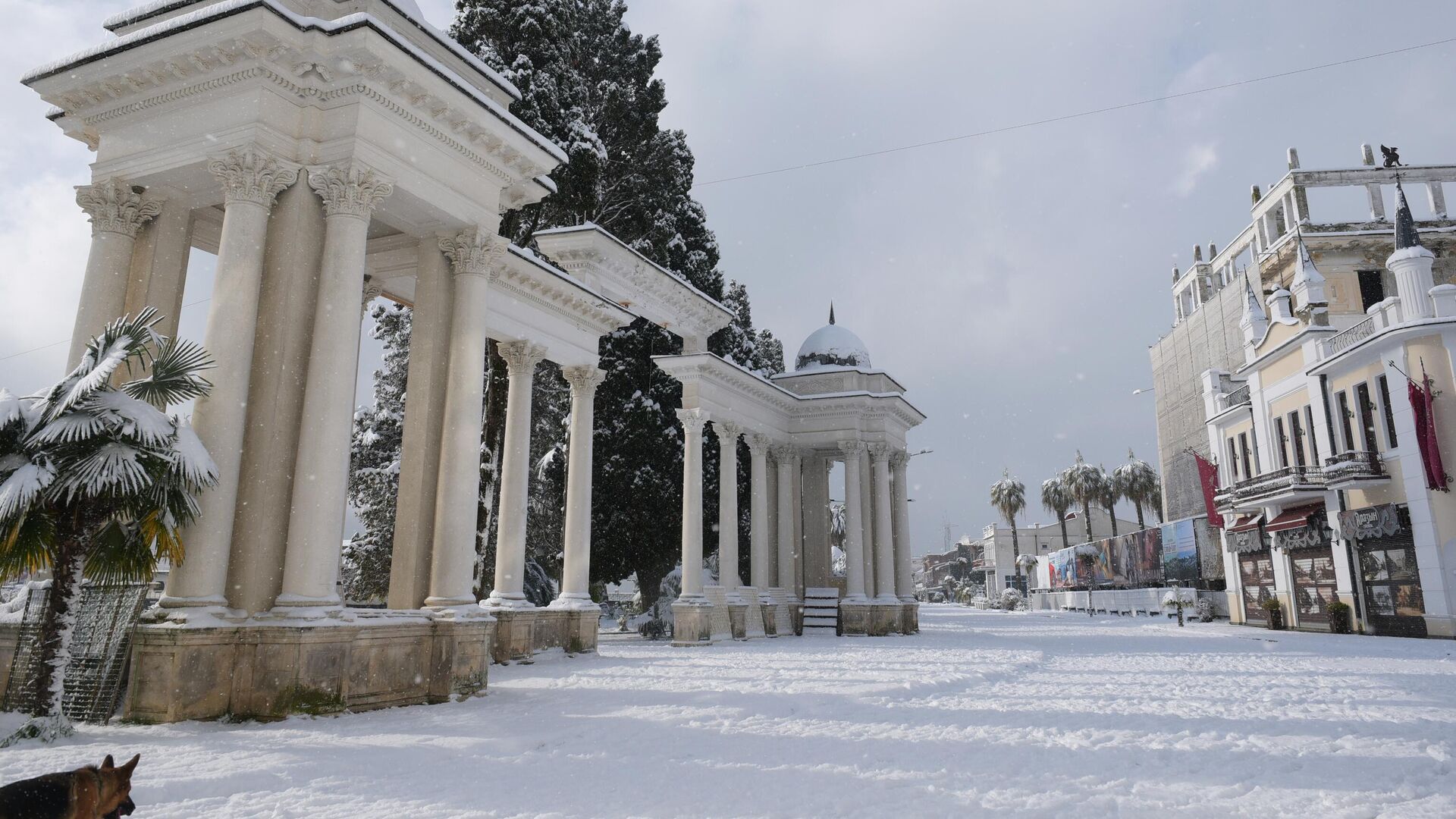 В городе Сухум - РИА Новости, 1920, 01.01.2023