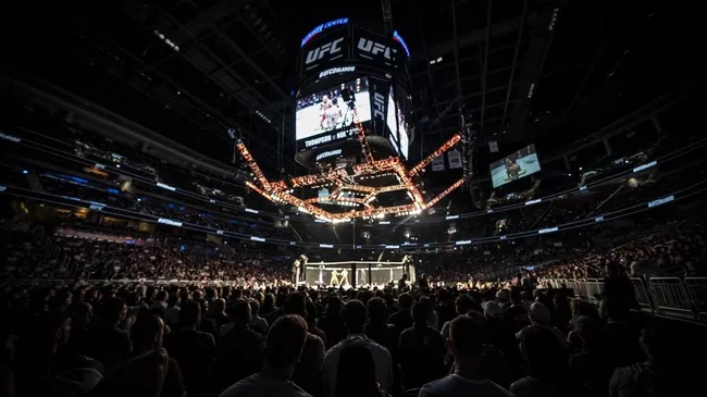 Октагон UFC