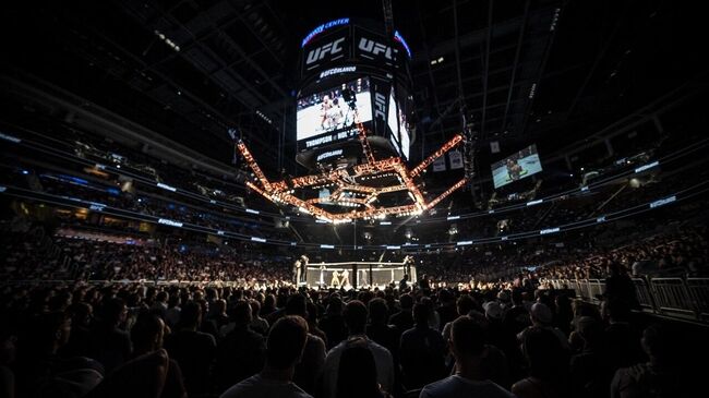 Октагон UFC