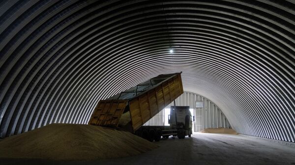 Разгрузка зерна, Украина