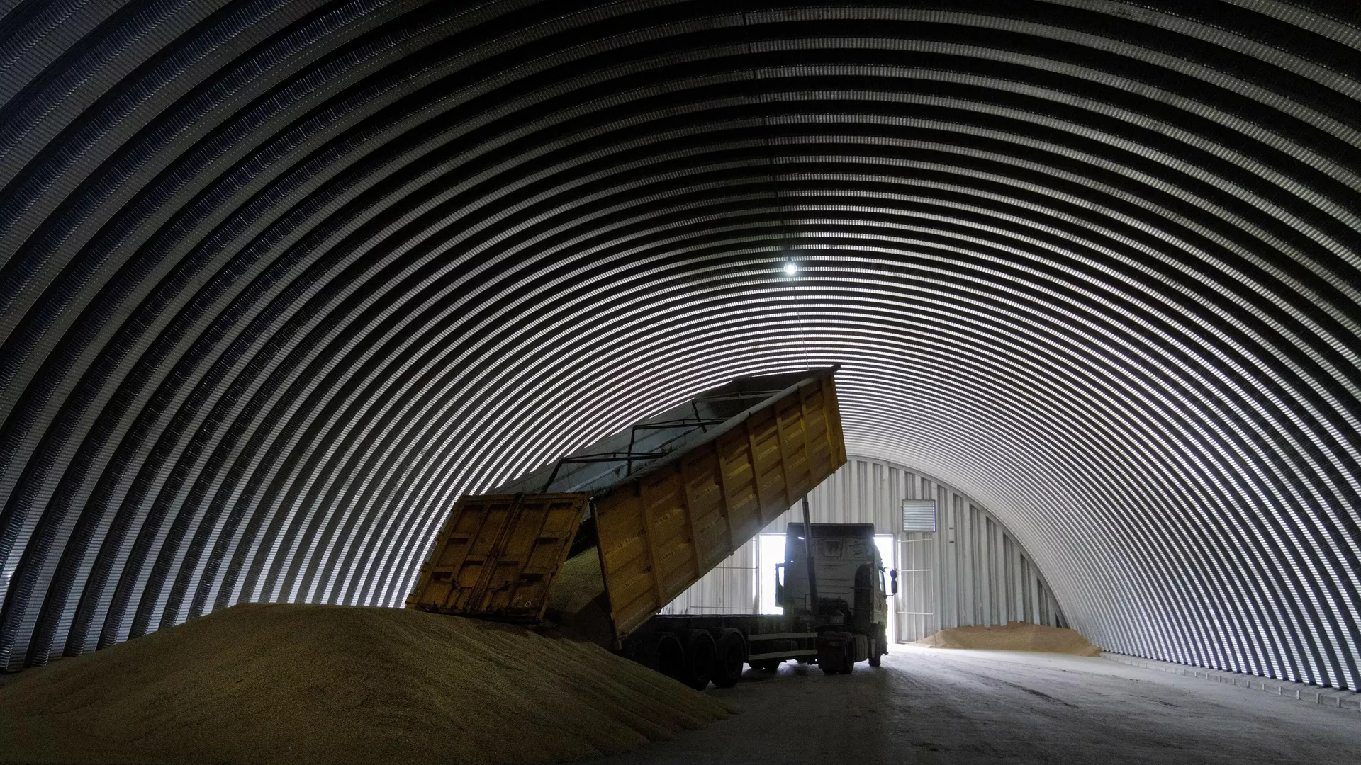 Grain unloading in the Kyiv region - RIA Novosti, 1920, 03/20/2023