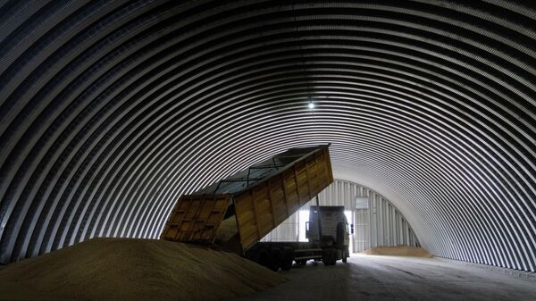 Разгрузка зерна в Киевской области