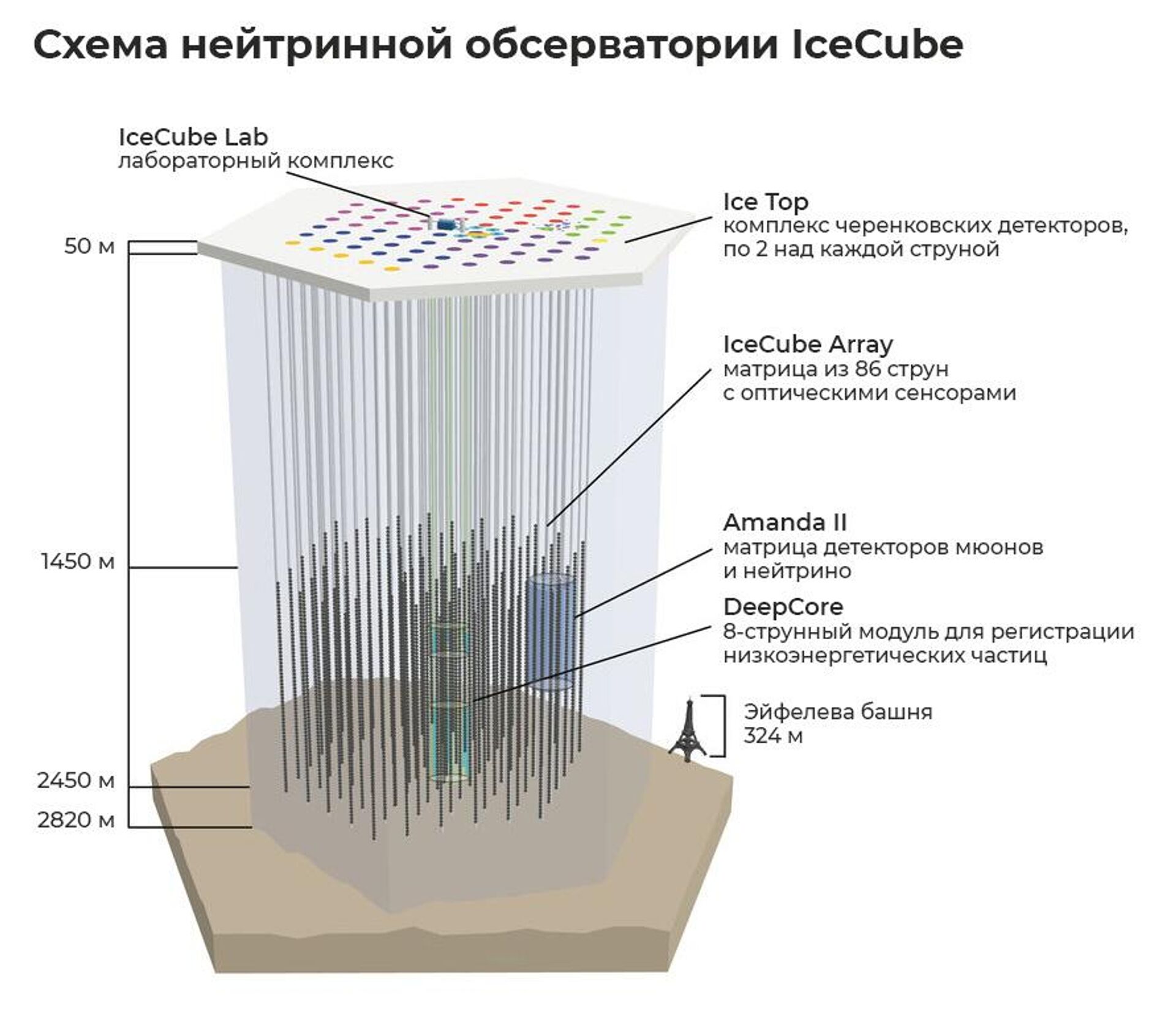 Схема нейтринной обсерватории IceCube - РИА Новости, 1920, 07.12.2022