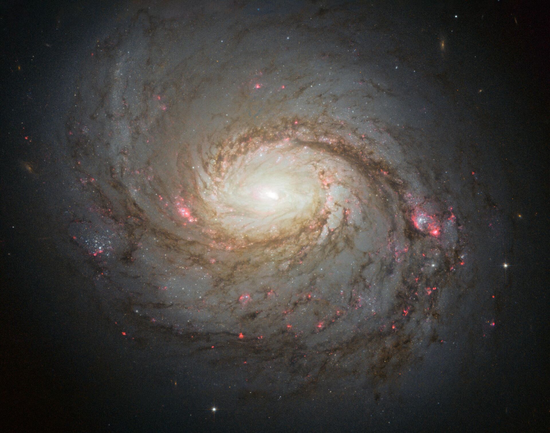 Фото спиральной галактики  Messier 77, сделанное космическим телескопом Хаббл - РИА Новости, 1920, 07.12.2022