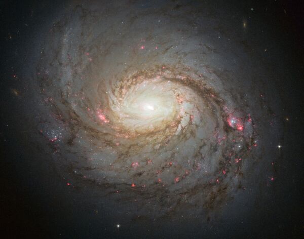Фото спиральной галактики Messier 77, сделанное космическим телескопом Хаббл Фото спиральной галактики Messier 77, сделанное космическим телескопом Хаббл