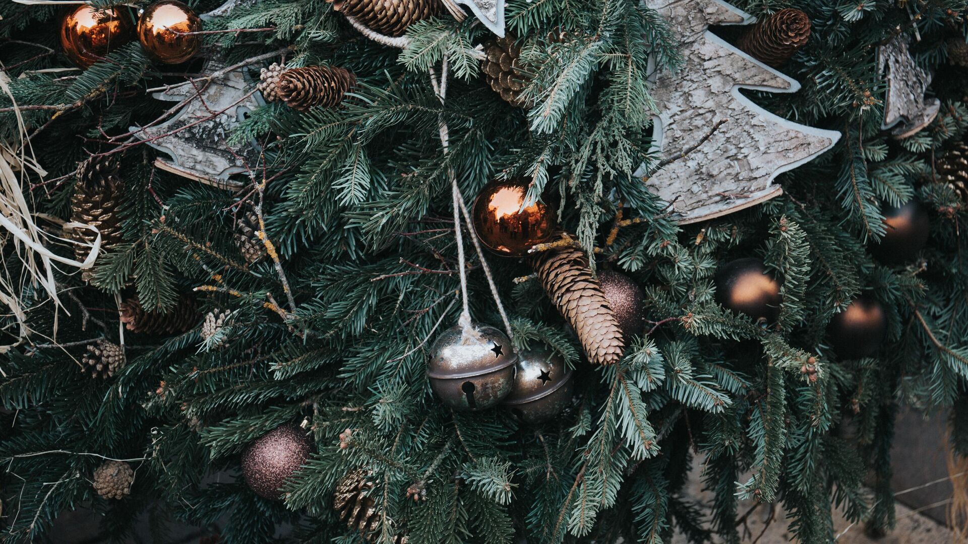 Как украсить дом к Нового Году: сосна новогодняя, пихта или елка?