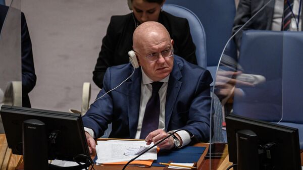 Постоянный представитель Российской Федерации при ООН Василий Небензя