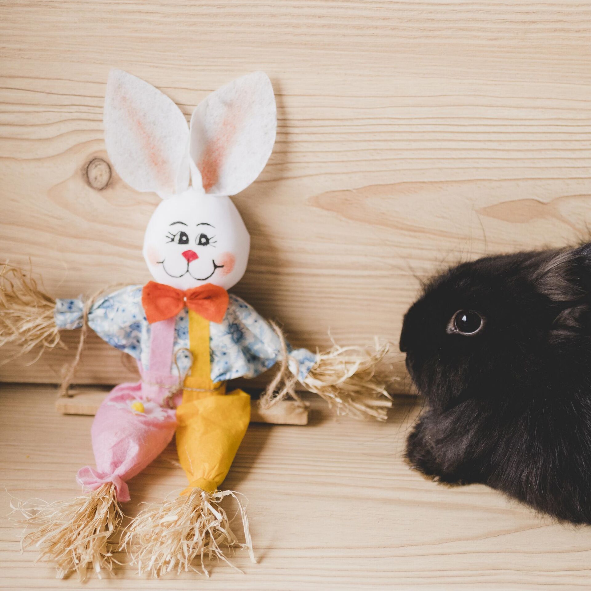 Выкройка зайца для пошива игрушки своими руками: заяц Ми, Тильда, кролик на Пасху, Тедди, сплюшка
