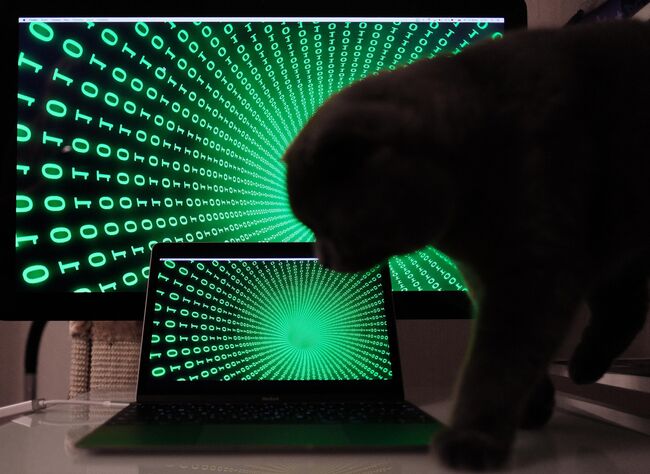 Информационные технологии Информационные технологии