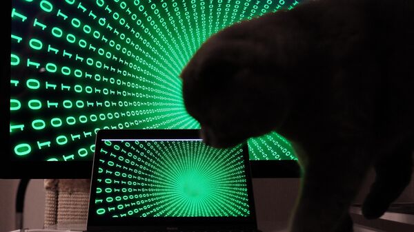 В Болгарии арестовала хакера, исправлявшего оценки в электронных дневниках