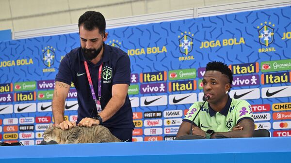 Пресс-атташе сборной Бразилии схватывает кота руками за шкуру