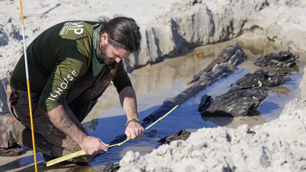 Археолог Кристофер Маккаррон измеряет останки потерпевшего крушение судна на пляже города Дейтона-Бич во Флориде