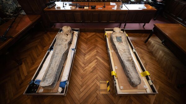 Саркофаг, обнаруженный в парижском соборе Нотр-Дам
