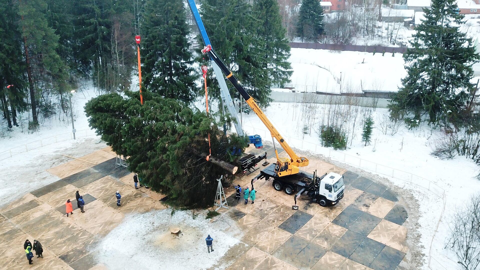 Рубка главной новогодней елки в Волоколамском городском округе Московской области - РИА Новости, 1920, 12.12.2022