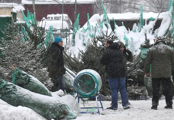Продажа новогодних елок в торговых рядах на Преображенском рынке