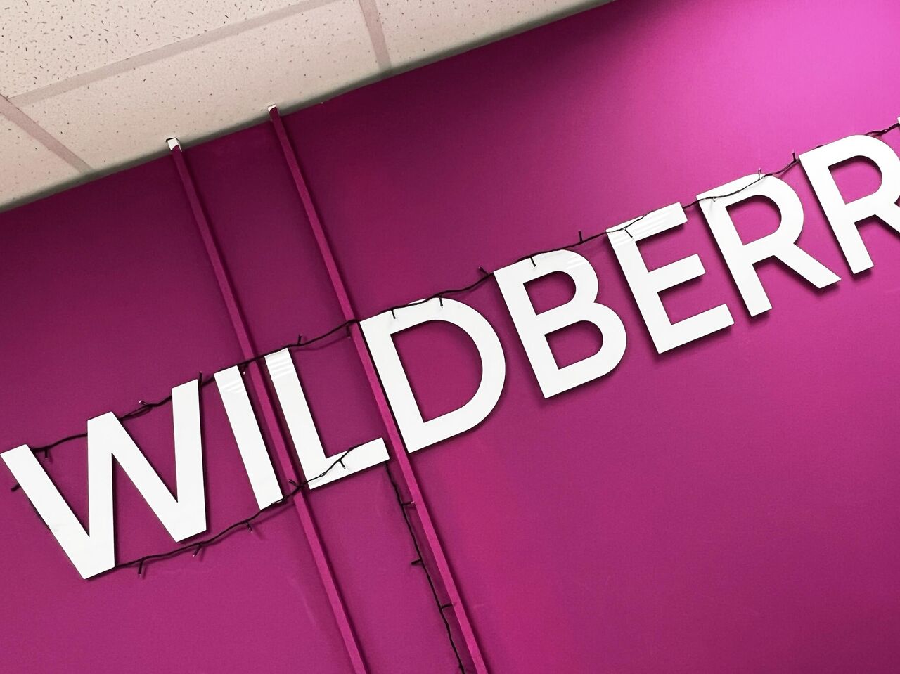 Эксперты: Wildberries будет нелегко заменить сгоревший склад в Петербурге -  Недвижимость РИА Новости, 16.01.2024