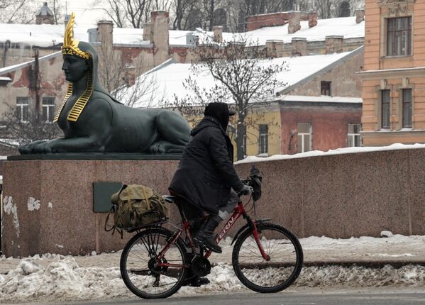 Мужчина с велосипедом на фоне скульптуры сфинкса на Египетском мосту в Санкт-Петербурге после реставрации