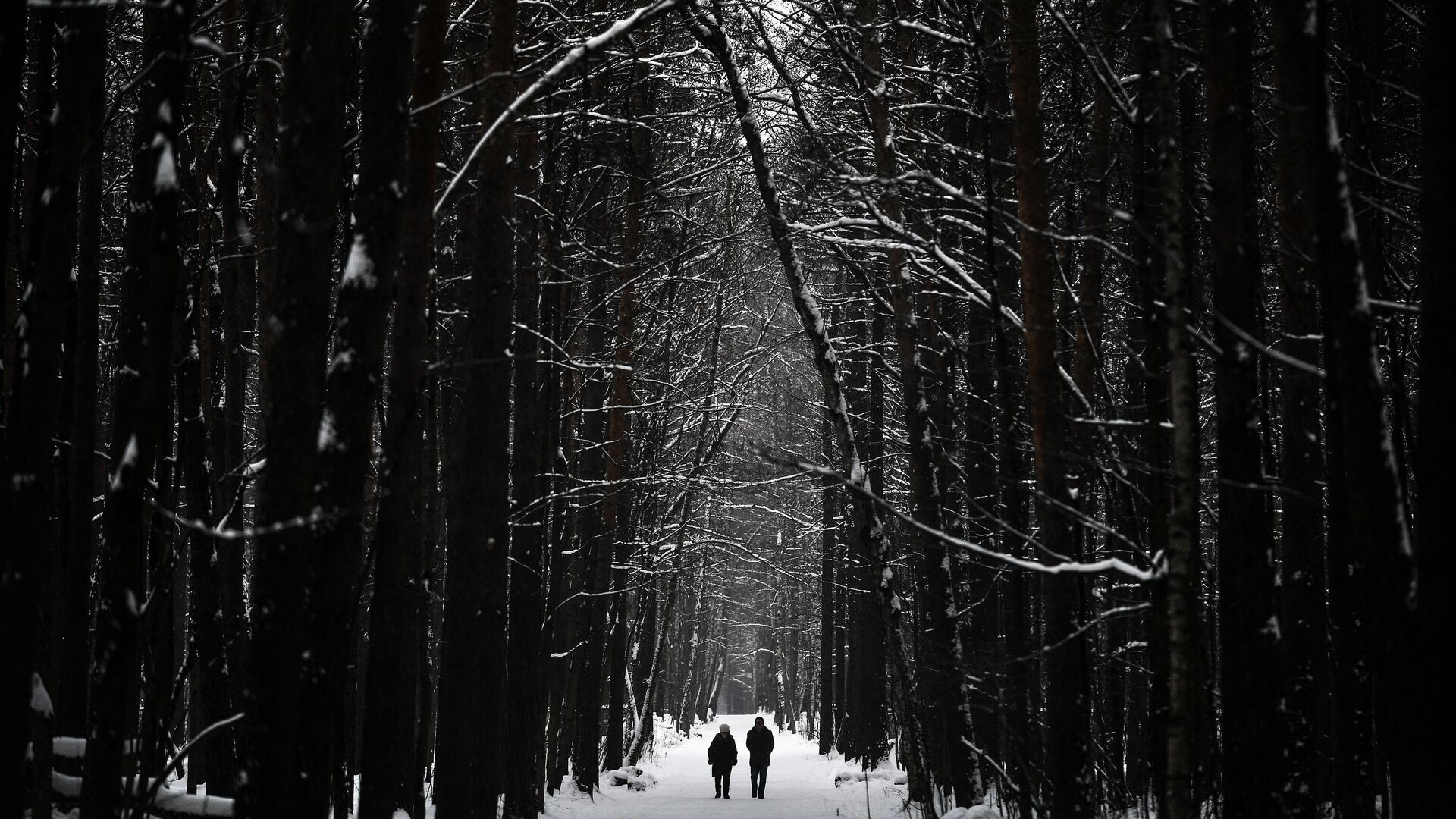 Люди гуляют в парке  - РИА Новости, 1920, 20.12.2022