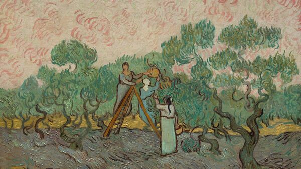 Винсент Ван Гог. Женщины, собирающие оливки, 1889