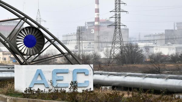 Эксперты МАГАТЭ заявили, что слышали громкие взрывы возле Запорожской АЭС
