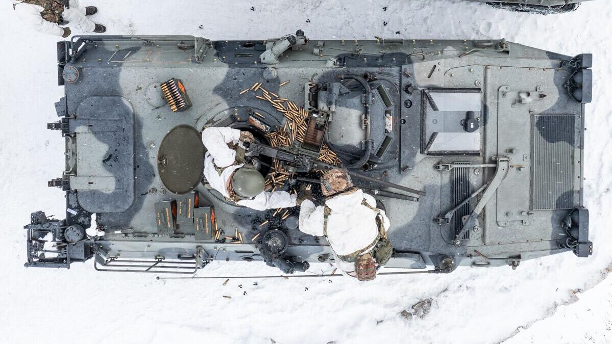 Боевая бронированная машина Пума Боевая бронированная машина Пума - РИА Новости, 1920, 04.01.2023