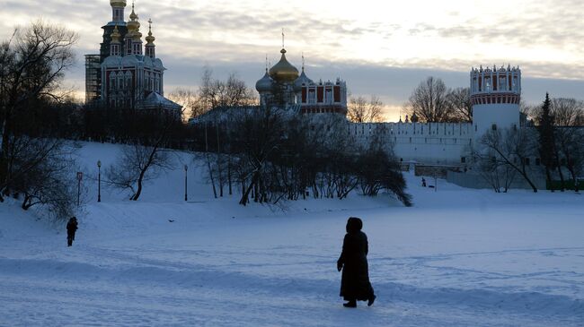 На берегу Большого Новодевичьего пруда в Москве