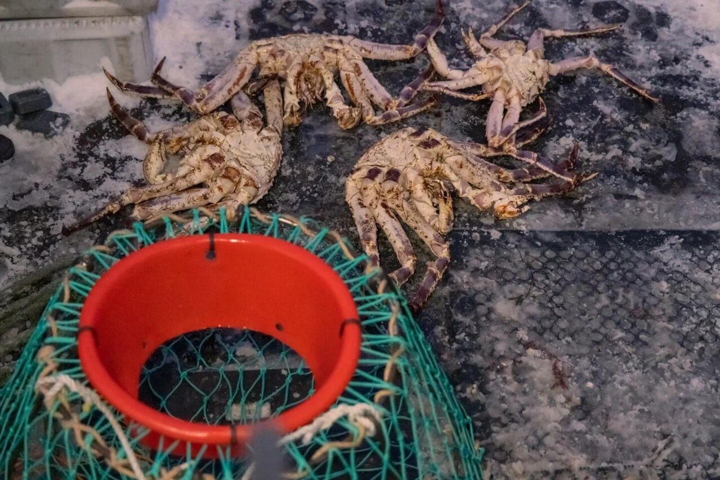 Ловля крабов Ловля крабов