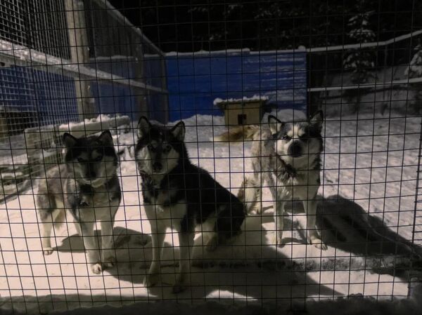 Огни Имандры Огни Имандры