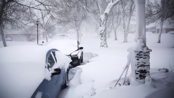 Последствия снегопада в западной части Нью-Йорка. Архивное фото