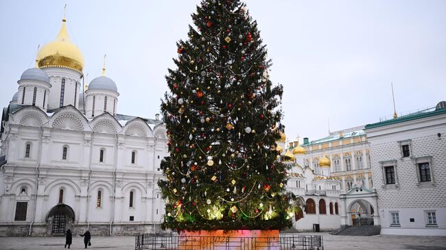 Главная новогодняя елка на Соборной площади Московского Кремля