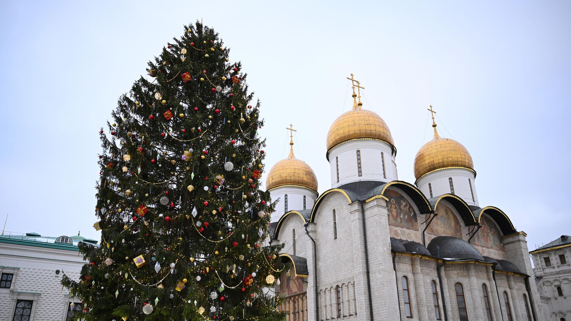 Главная новогодняя елка на Соборной площади московского Кремля - РИА Новости, 1920, 27.01.2023