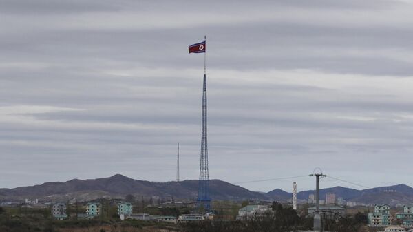 Северокорейский флаг в демилитаризованной зоне. Архивное фото