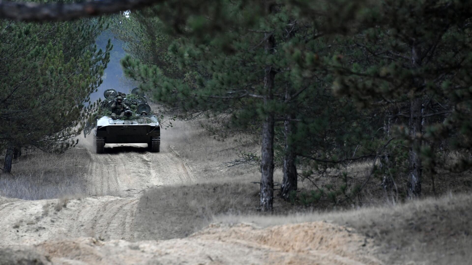 САУ Гвоздика 2С1 ВС РФ в зоне проведения СВО - РИА Новости, 1920, 15.10.2025