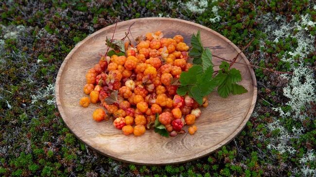 Арктическая кухня