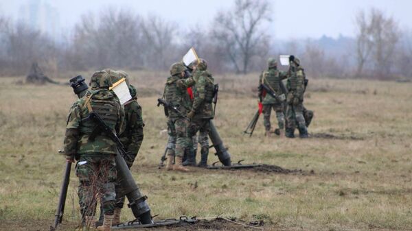 Военнослужащие пехотной бригады Dacia во время учений на полигоне в Кагуле, Молдавия